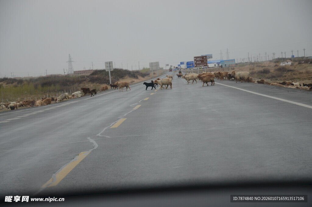 公路行车视角下的道路景象