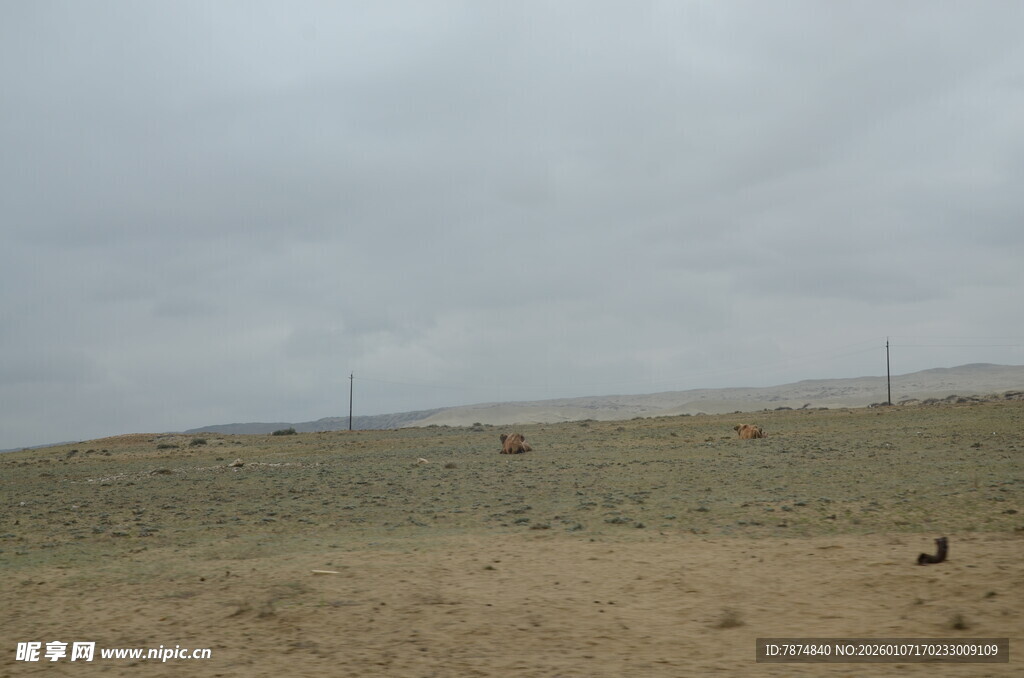 草原旷野中的孤寂景象