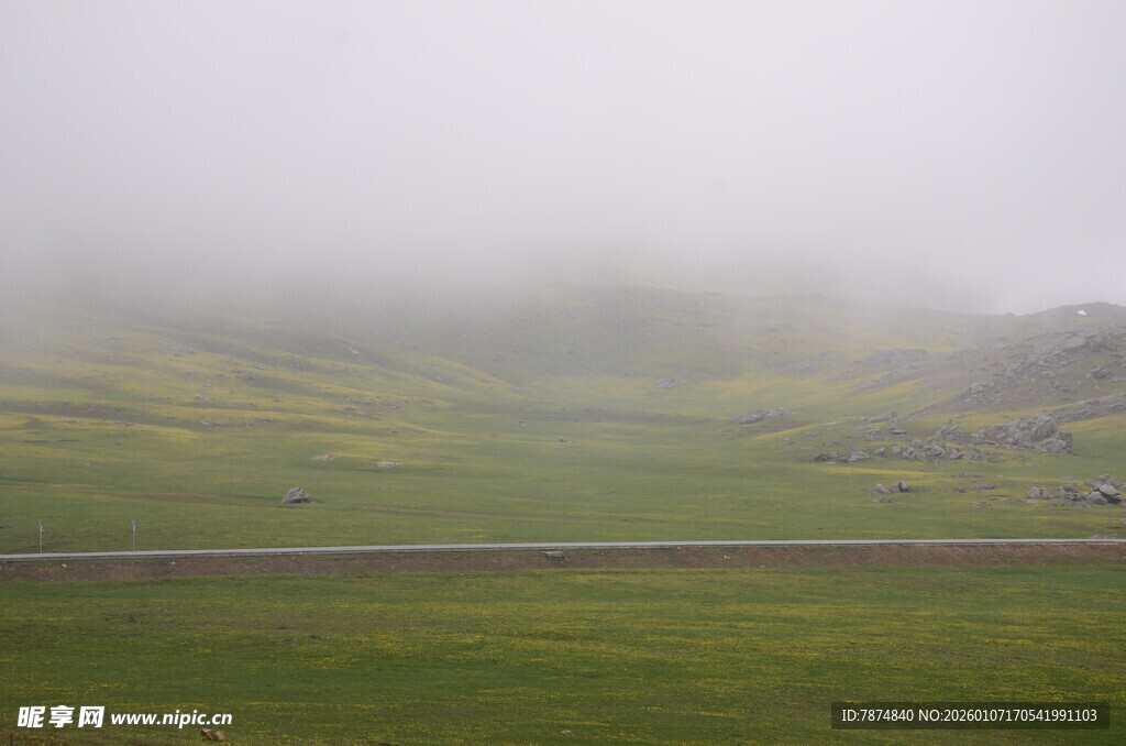 雾中草原美景