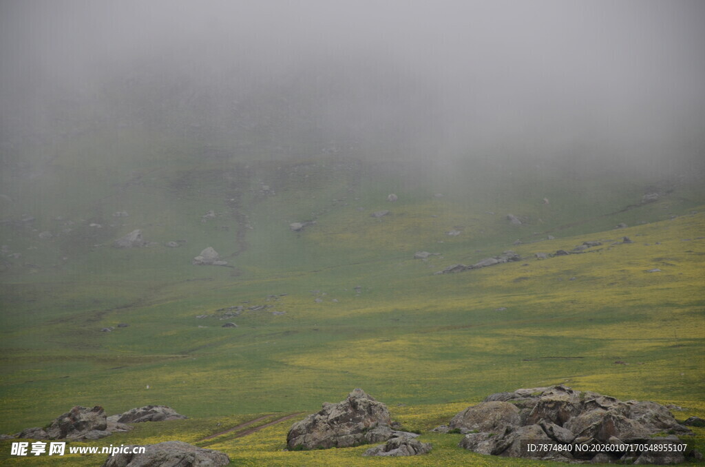 山间雾霭中的草地与石堆