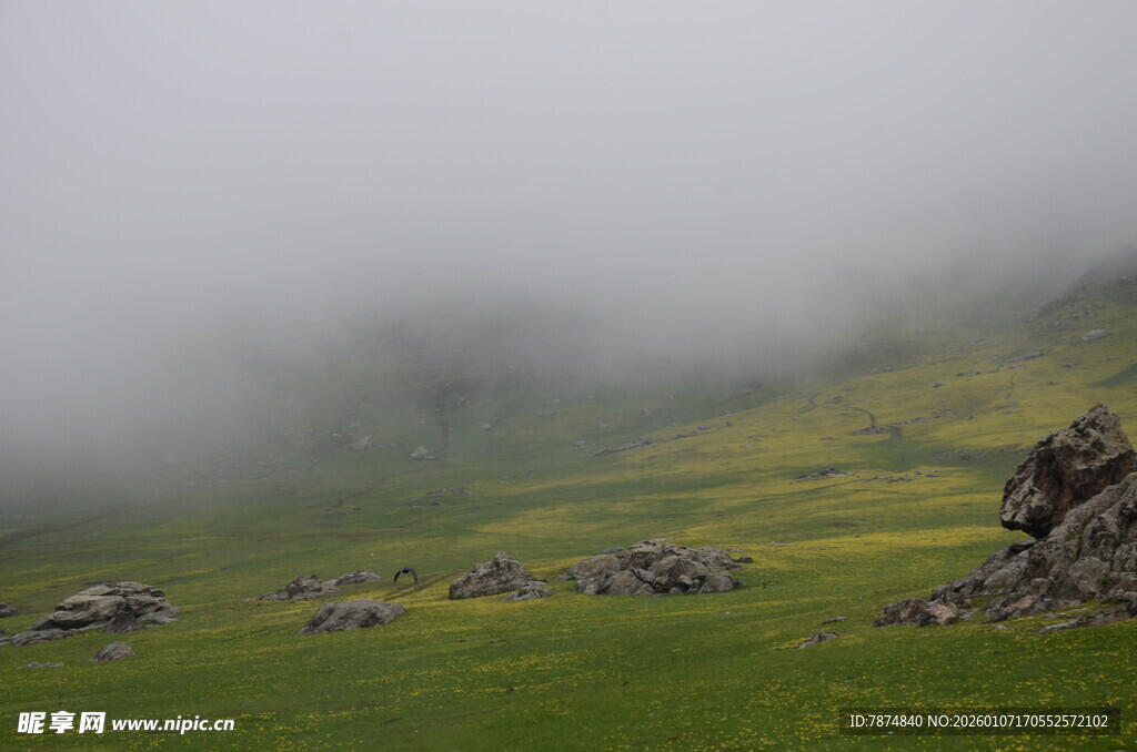山间雾霭中的翠绿草地