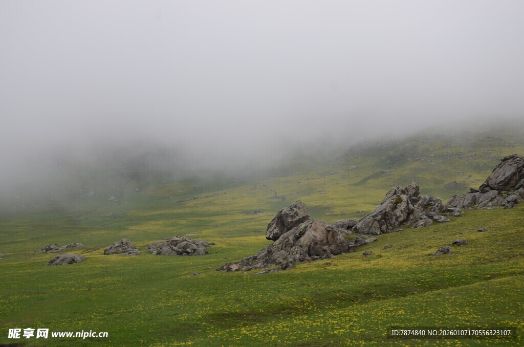 山间云雾缭绕的翠绿草地