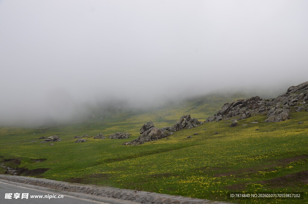 山间云雾缭绕的绿色景致