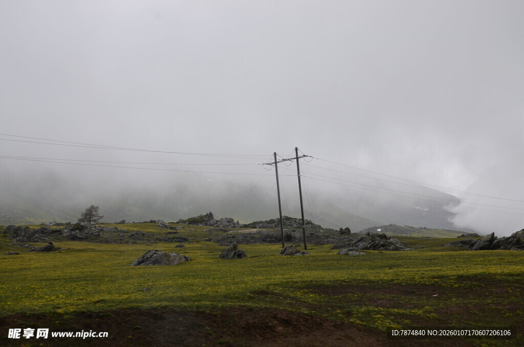 云雾笼罩的草原与电线杆