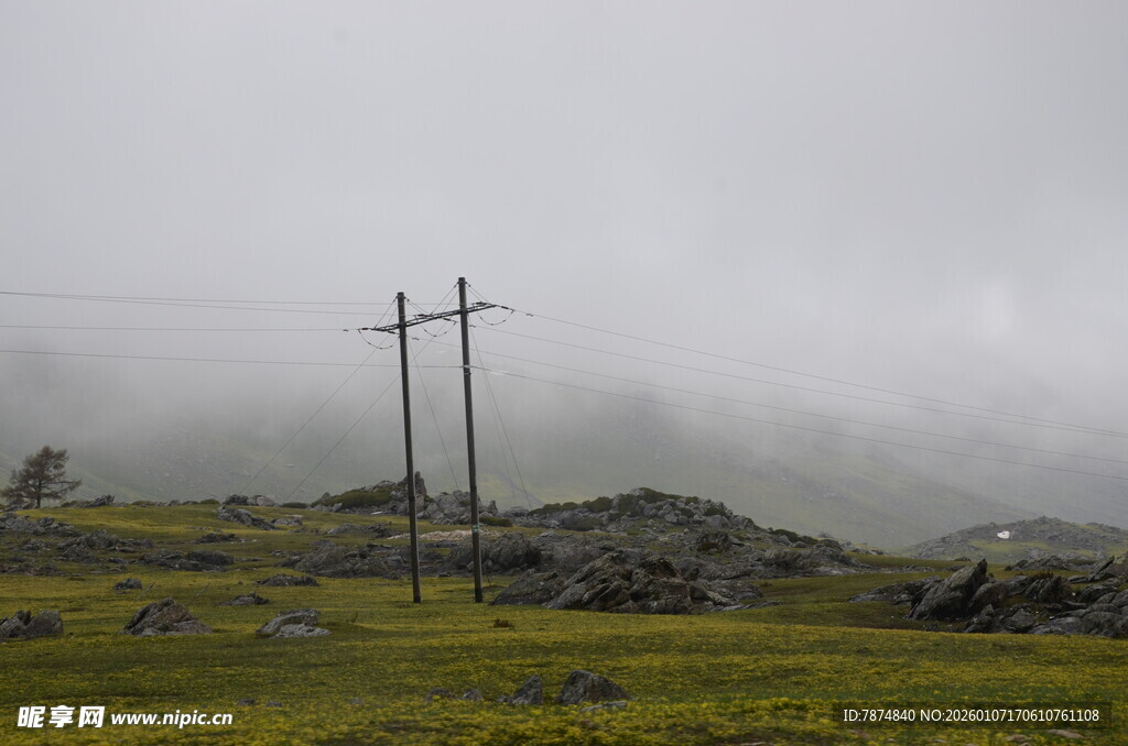 雾中电线杆屹立于草地