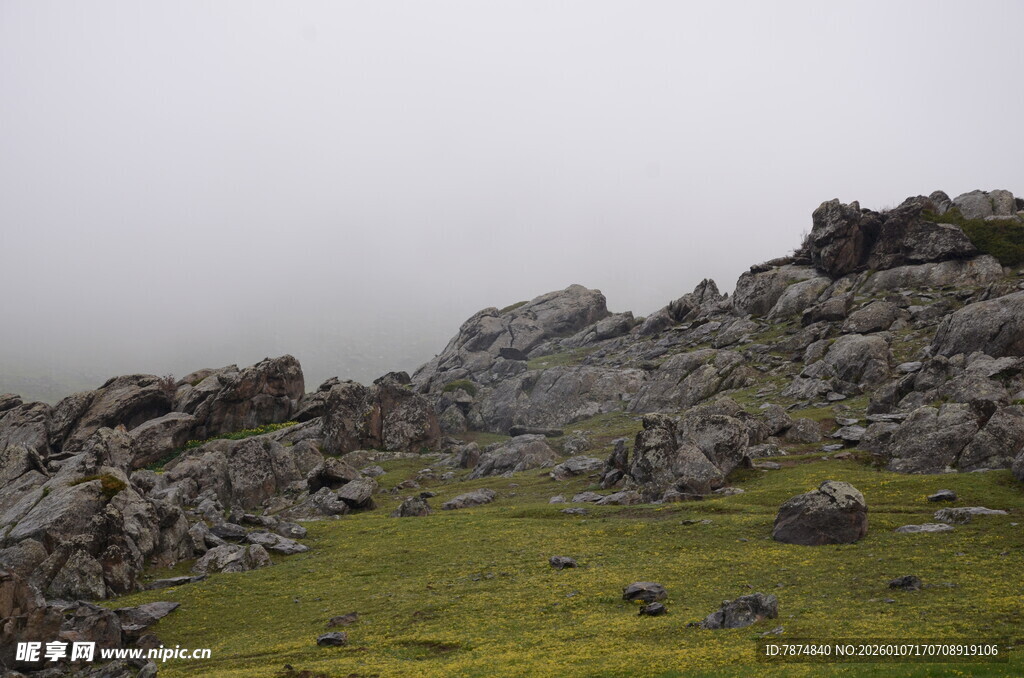 山间岩石与翠绿草地景观