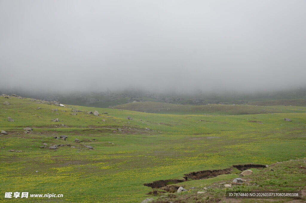 云雾笼罩的绿色草原风光