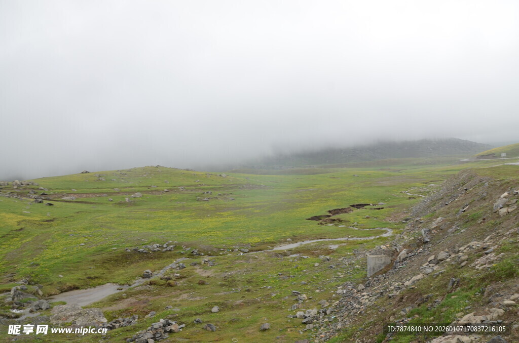 山间雾霭中的翠绿草地