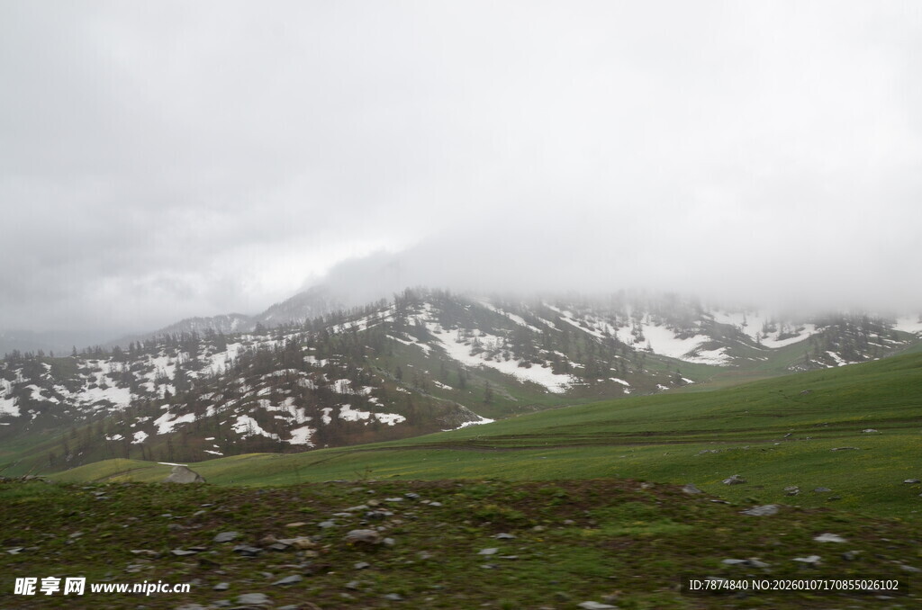 雪山下的翠绿草原