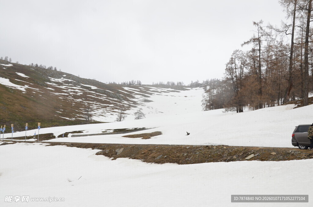 冬日雪覆山谷滑雪场景