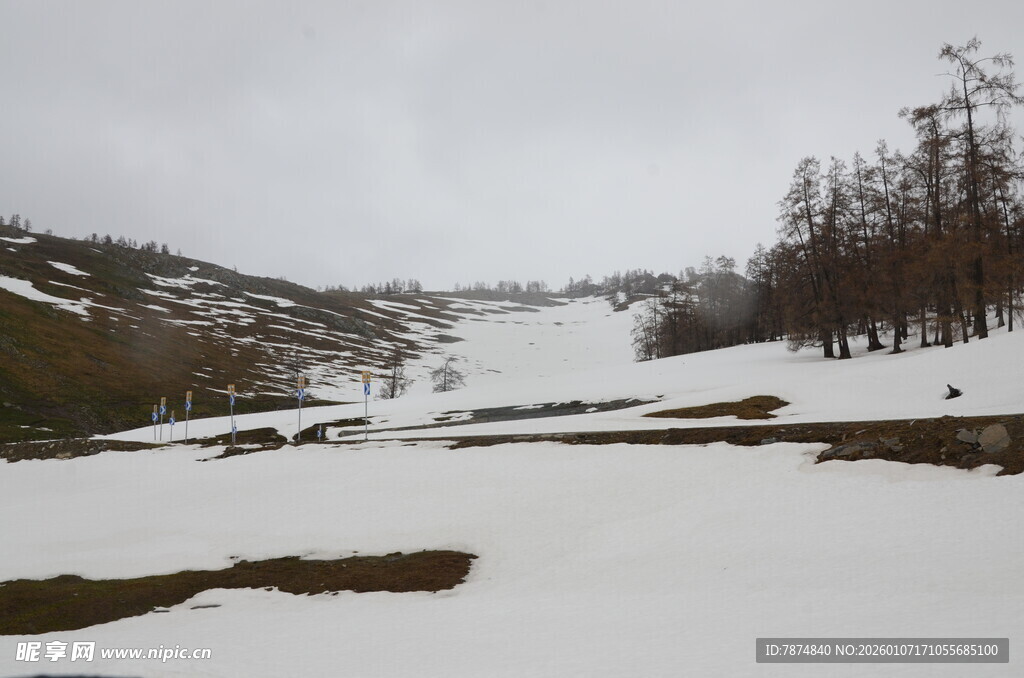 冬日雪景中的山林景观