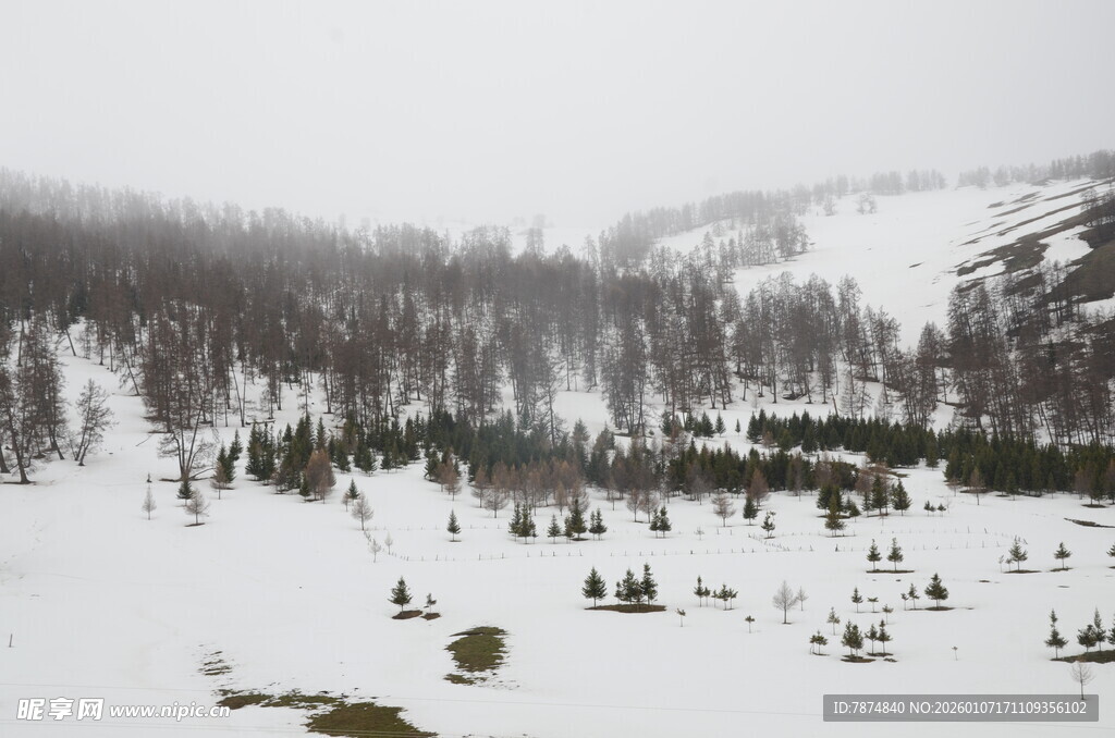 雪野中的人群与山林景观