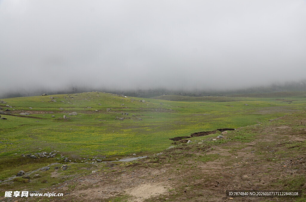 云雾笼罩下的绿色原野