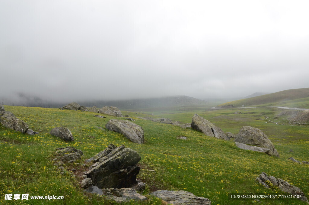 山间草地与岩石的景致