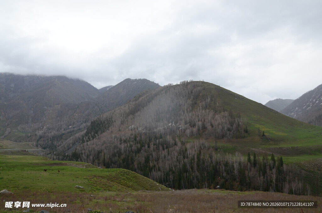 云雾缭绕的山间草原风光
