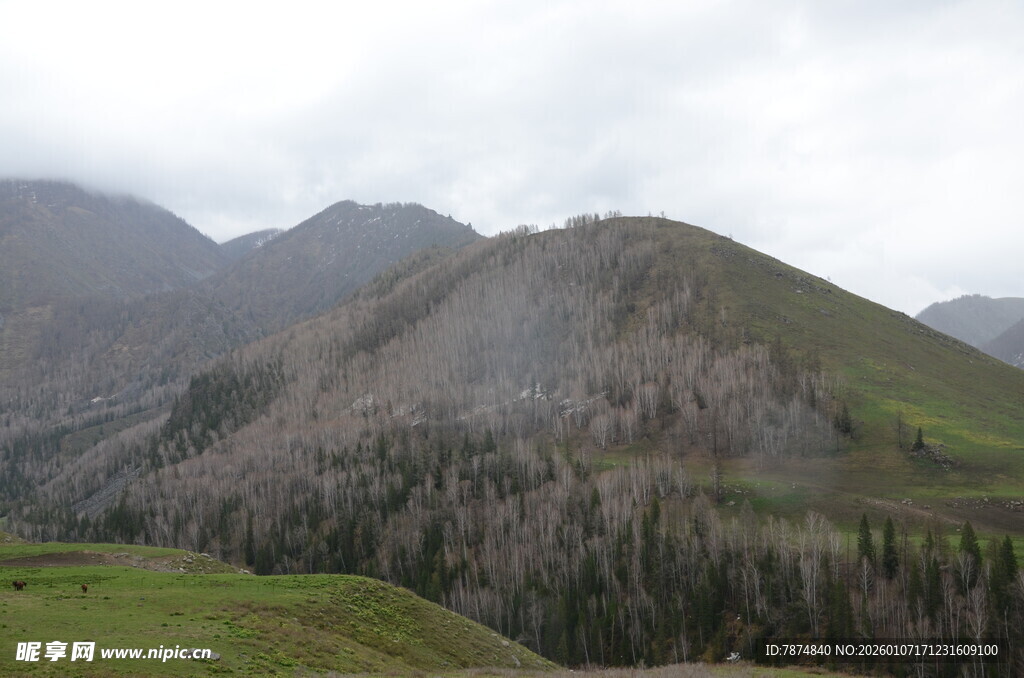 山峦葱郁的自然风光