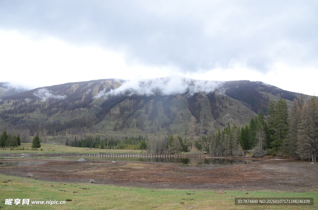 雪山下的开阔原野风光