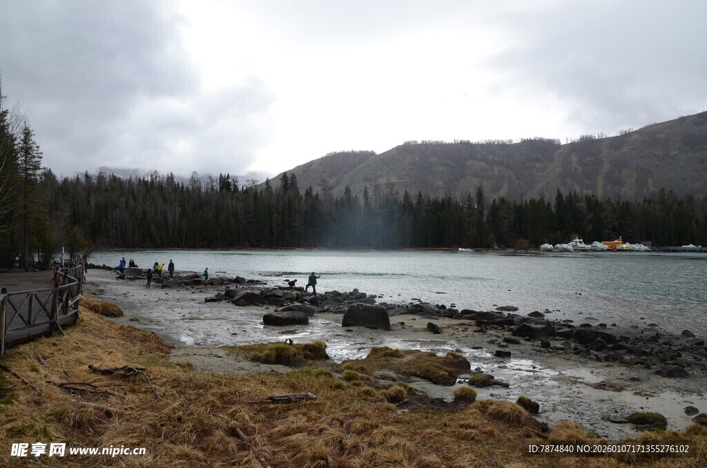 湖畔风景 静谧自然之美