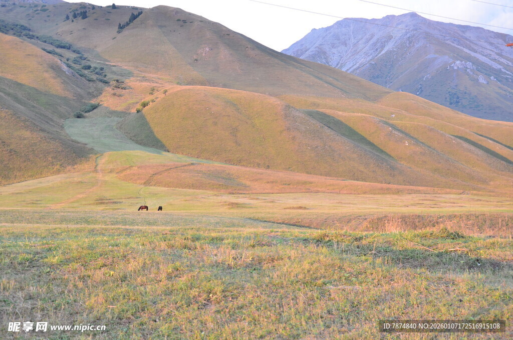 草原山峦间的悠然景致