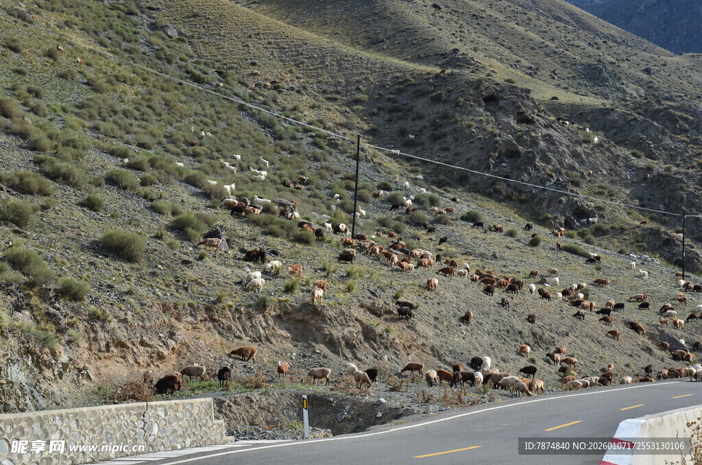 蜿蜒山路旁的山坡景色