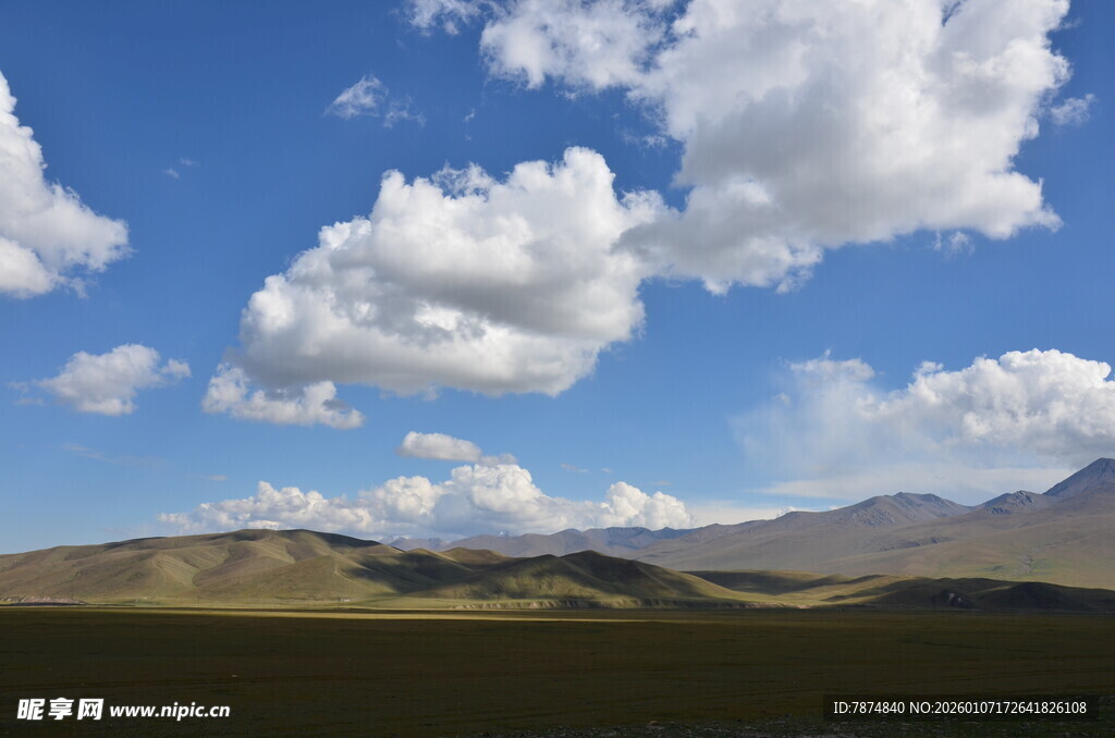 蓝天白云下的广袤原野