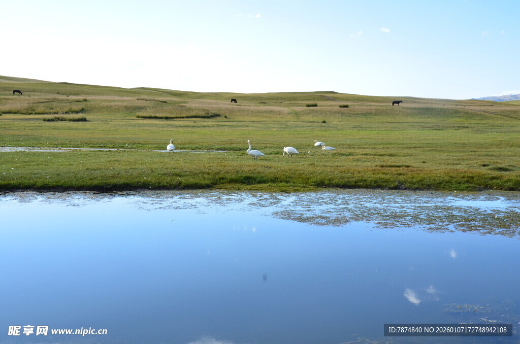 草原湖畔风光