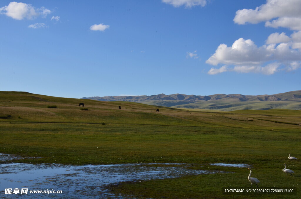草原湿地风光美景