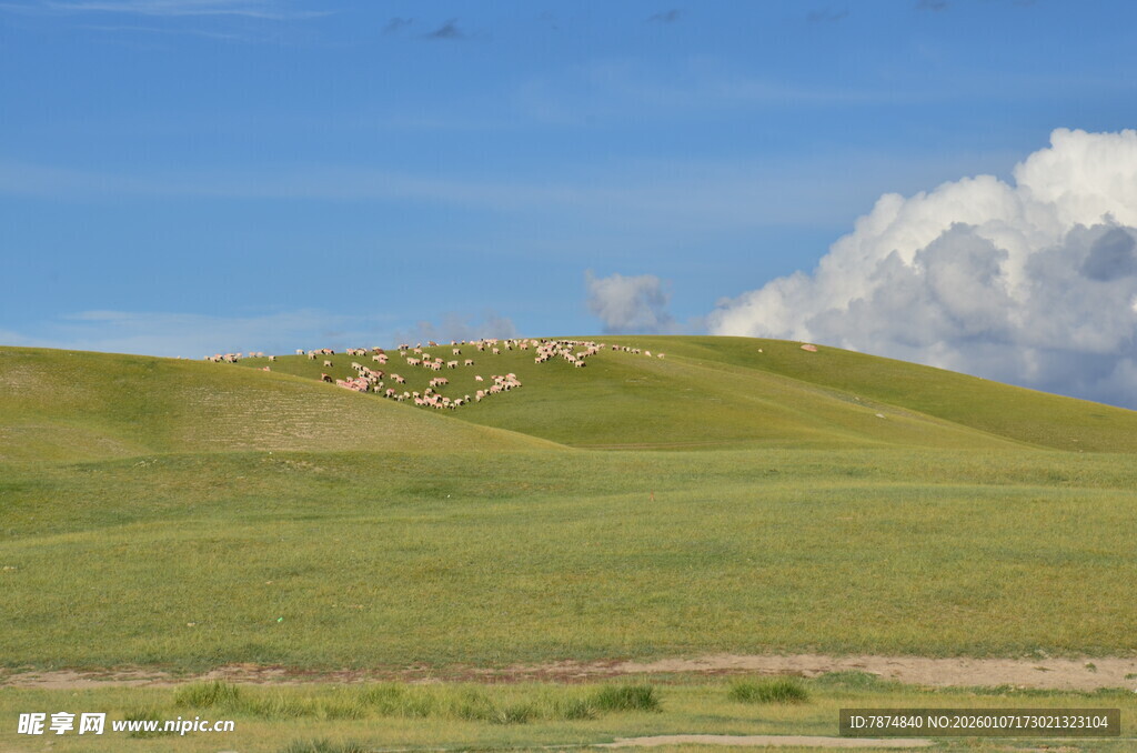 草原风光 蓝天白云下的美景