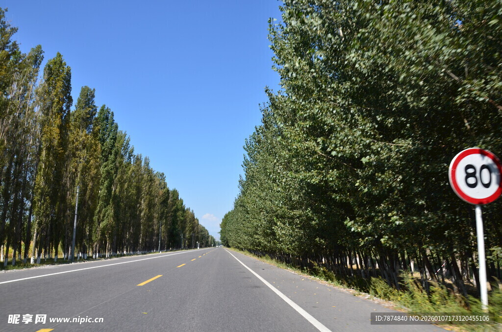 公路旁绿树与限速标志