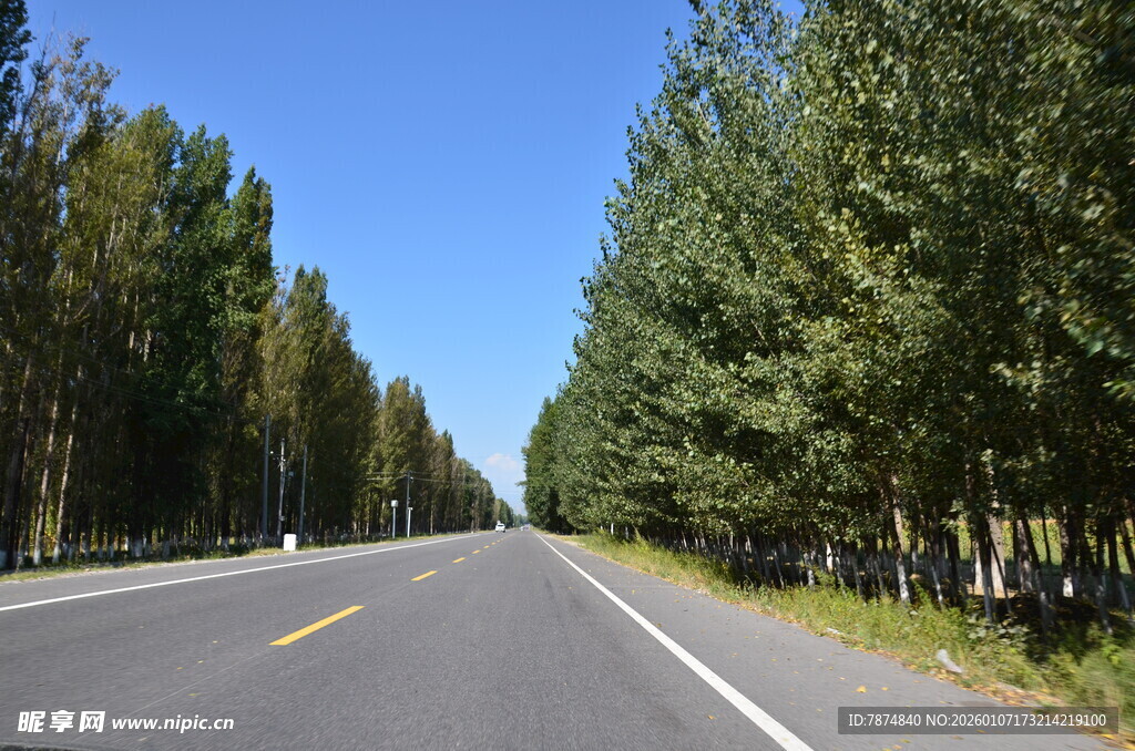 林间公路 畅享开阔风景