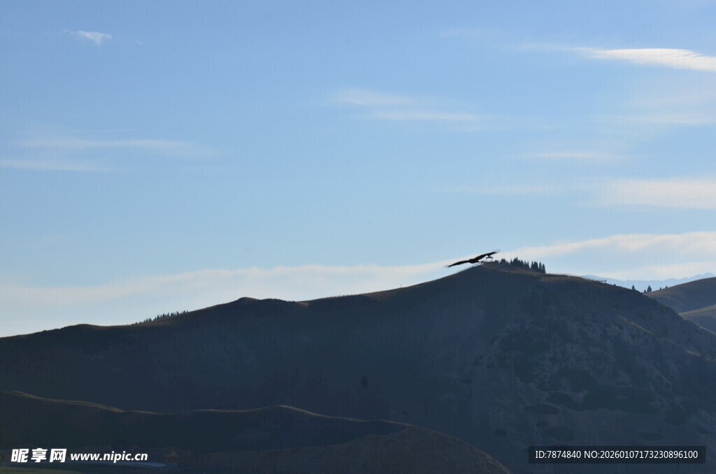 山巅上的飞鸟