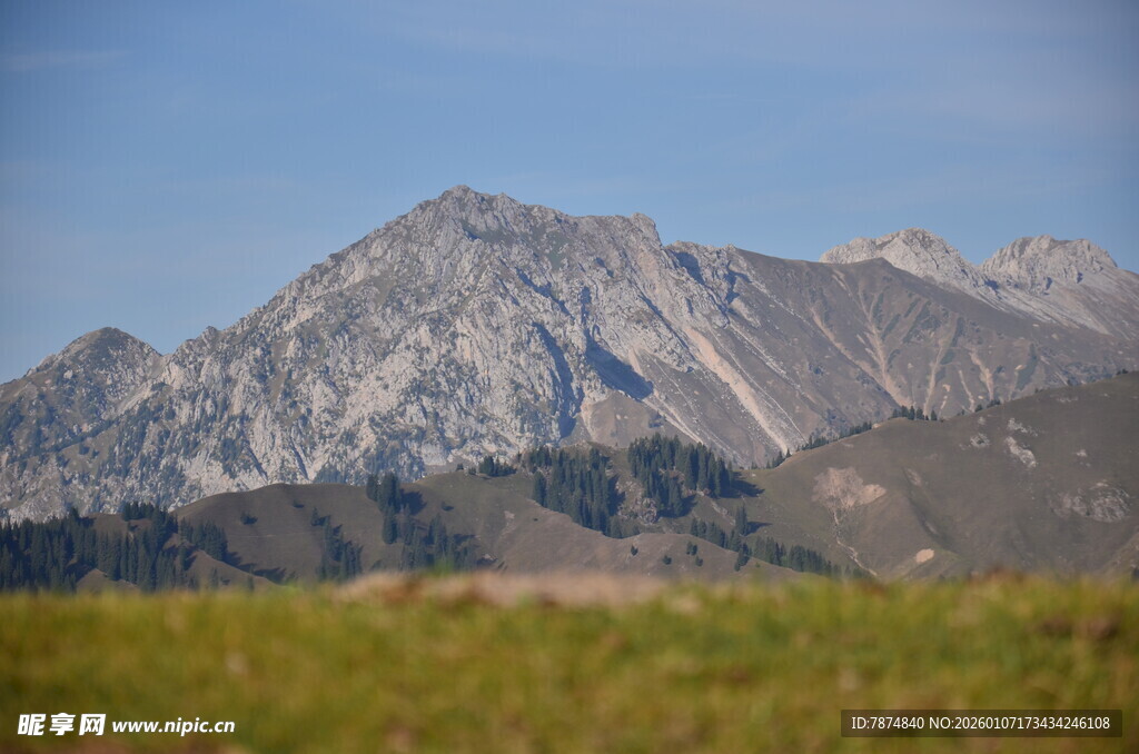 巍峨山脉下的翠绿草地