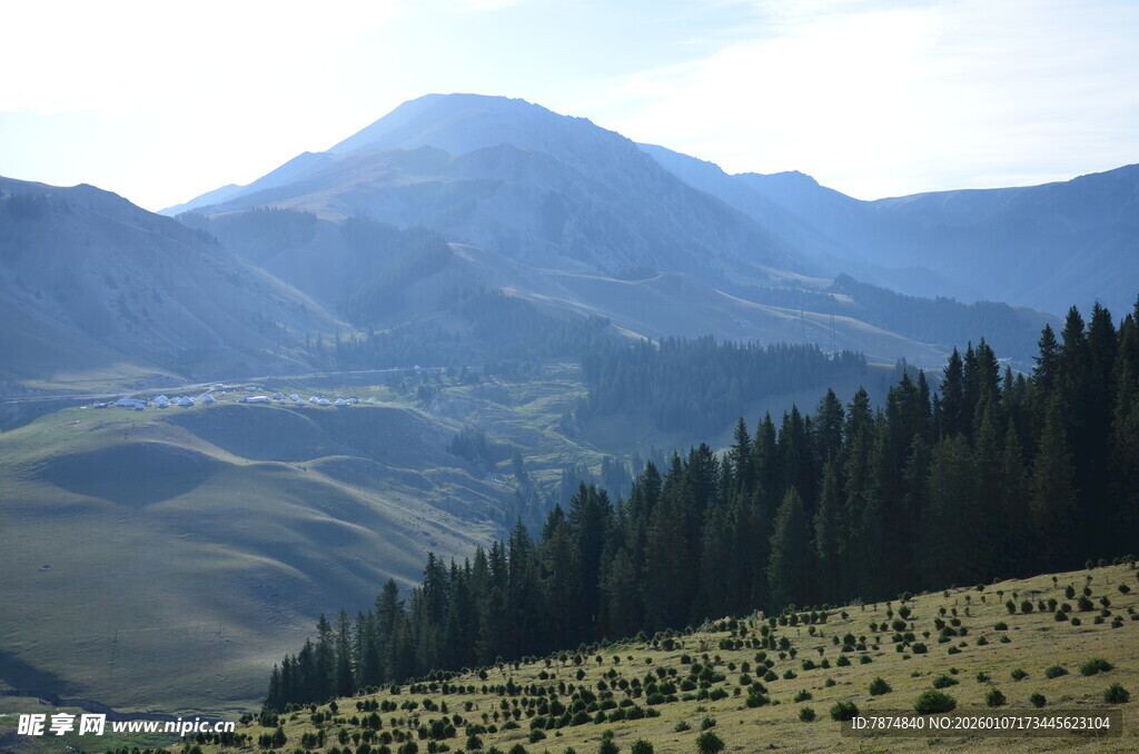 壮丽山景与葱郁森林