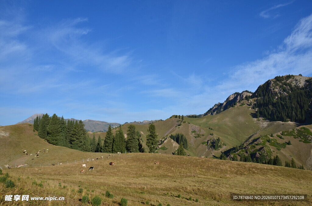 山间美景 蓝天白云草地