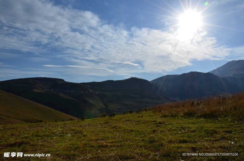 山间草地的明媚阳光