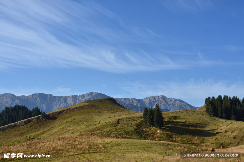 山间美景 蓝天白云绿草