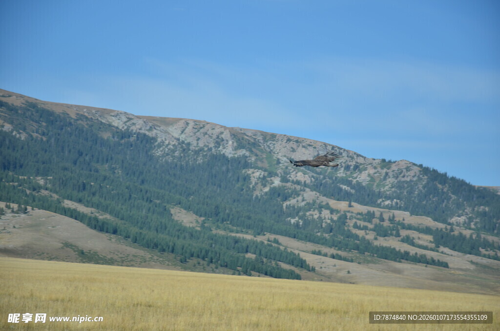 草原与远山的自然景致