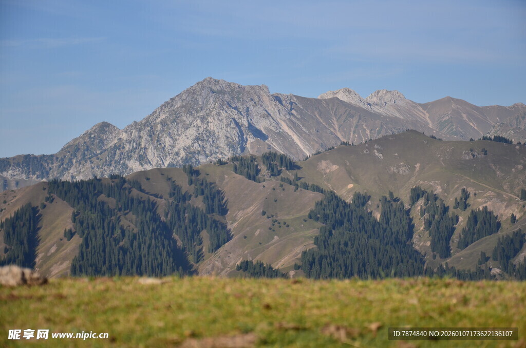 高山草甸美景
