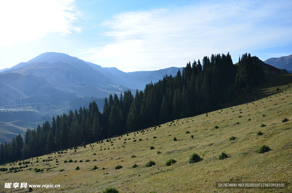 山间草地与远处山林景观