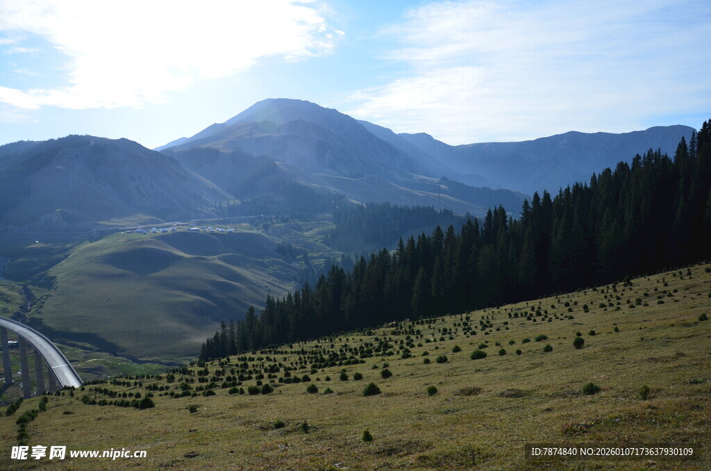 山间公路旁的壮美山林景色