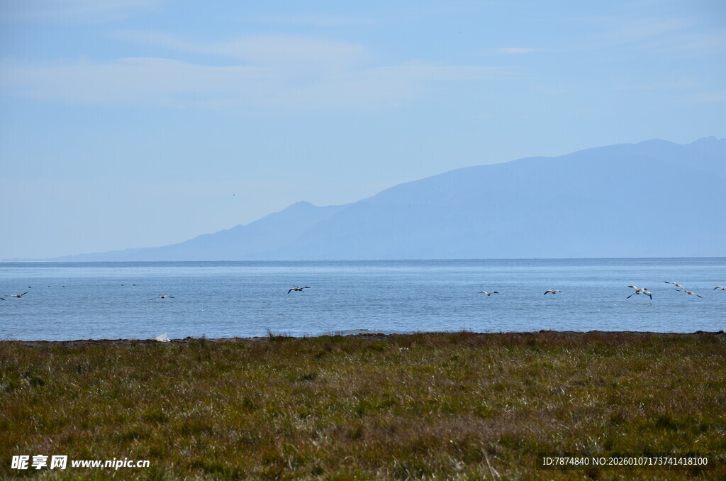 海边草地与远处山峦景色