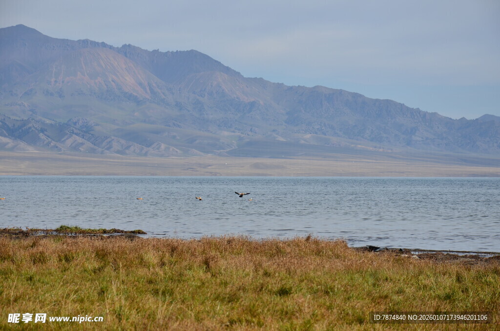 湖畔草地与远山风景