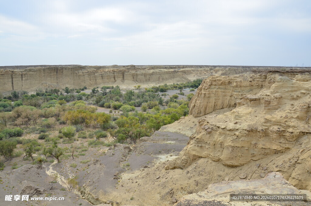 黄土沟壑间的绿意景观
