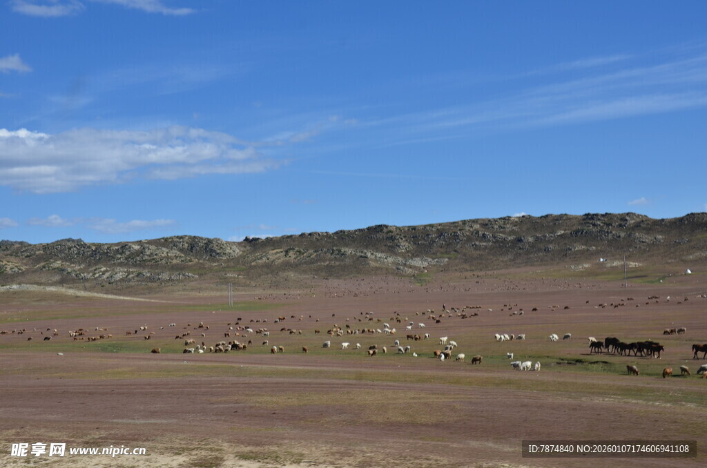 广袤旷野蓝天白云景色