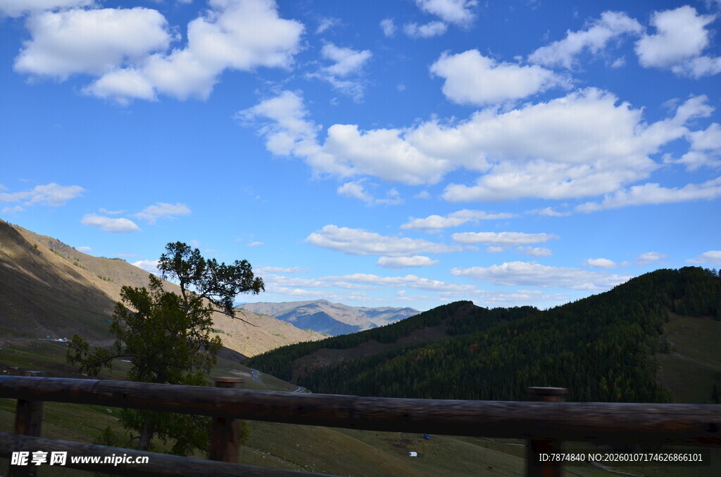 山间美景 蓝天绿树与远山