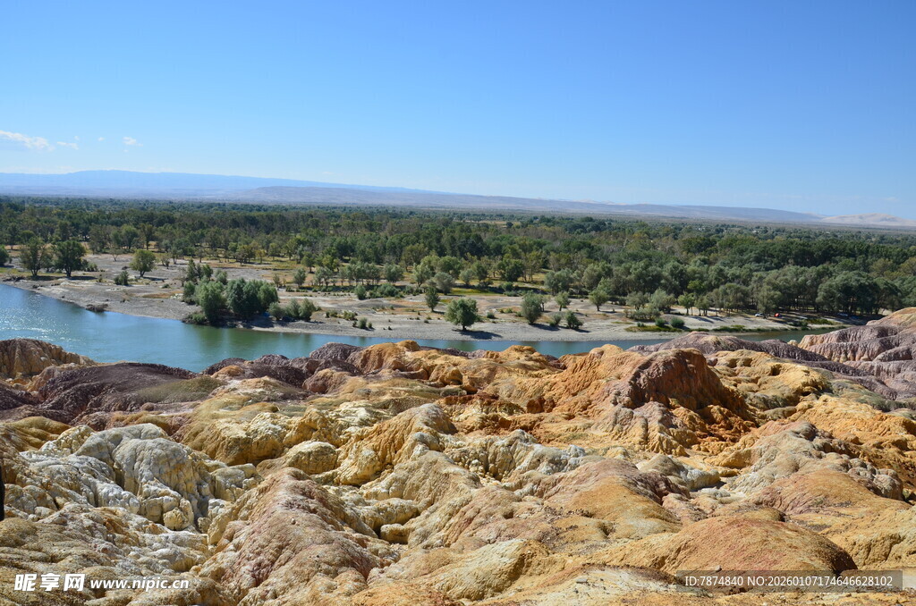 五彩斑斓的河畔自然风光