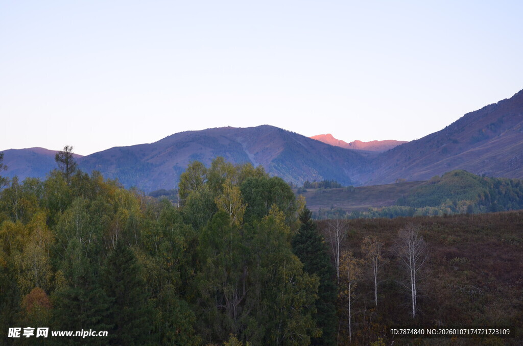 山间暮色中的葱郁树林