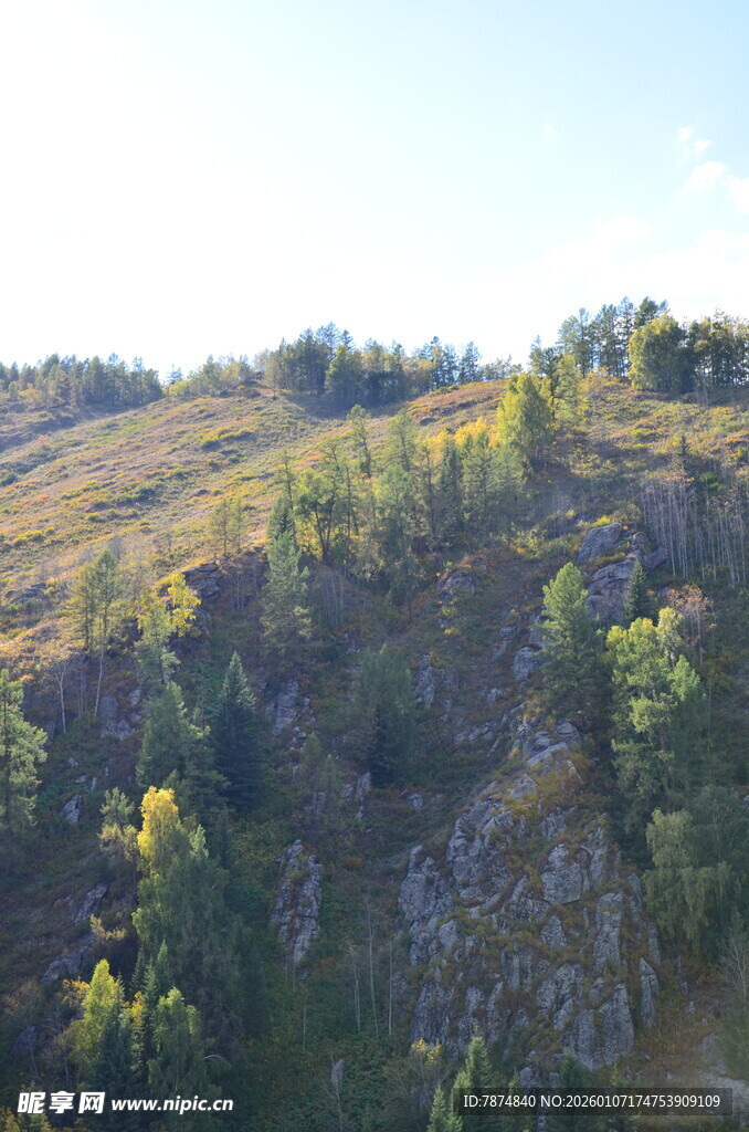 山坡绿意盎然的自然景致