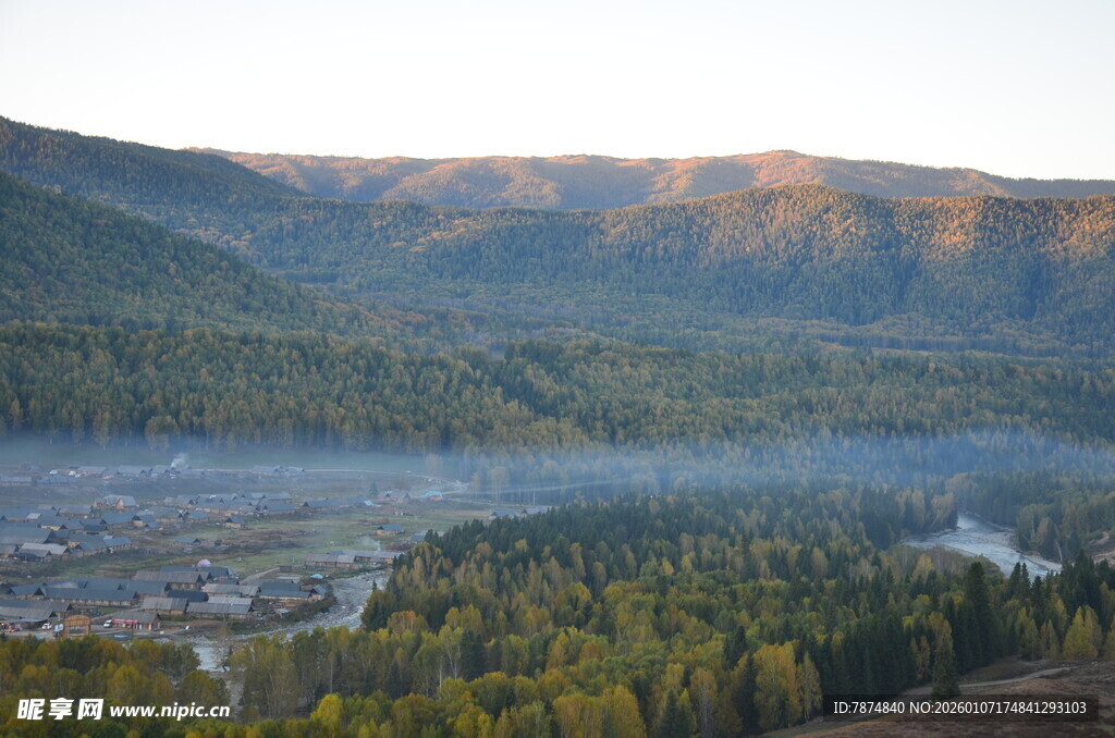 山间晨景 森林与薄雾交织