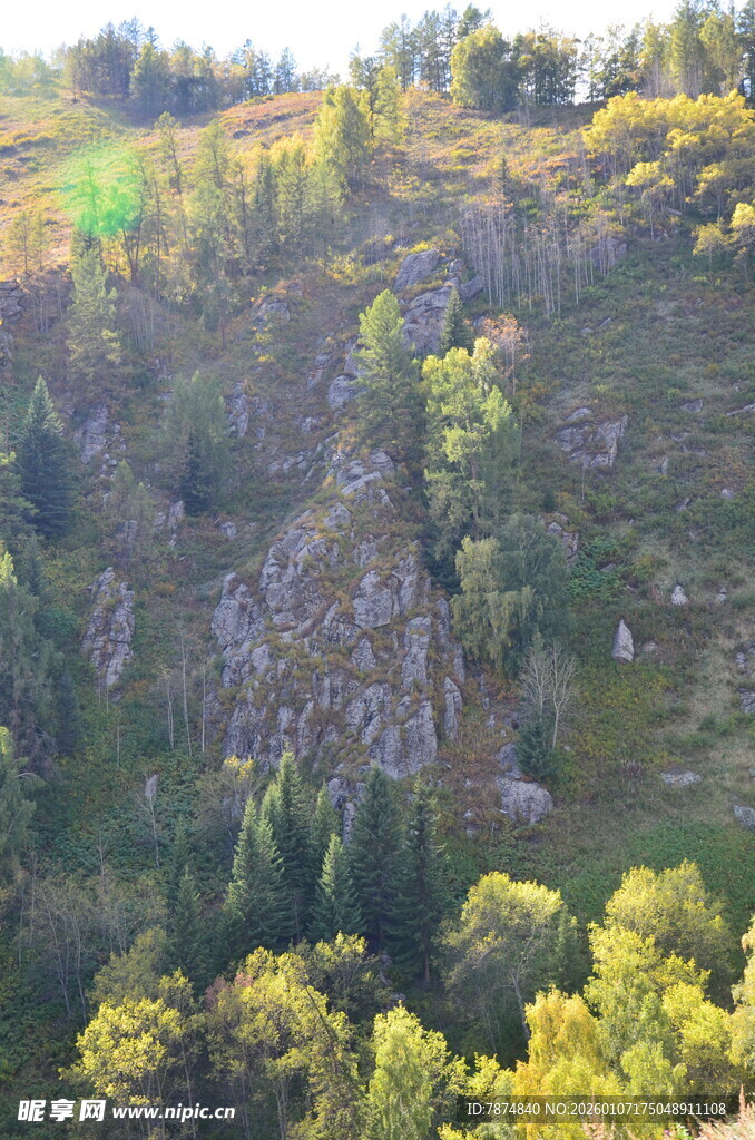 山间绿意盎然的壮丽崖壁